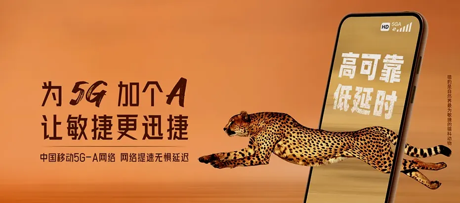 赣榆区赣榆区赣榆海洋经济开发区 移动宽带